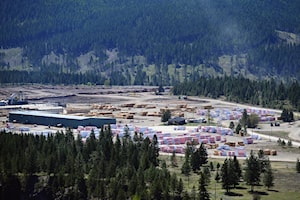 Canfor passes East Kootenay forestry audit