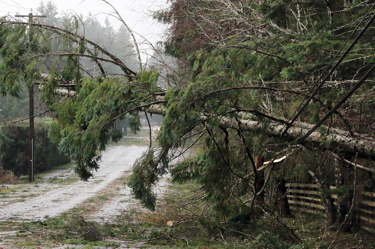 VIDEO Tips to stay safe around downed, damaged power lines Greater