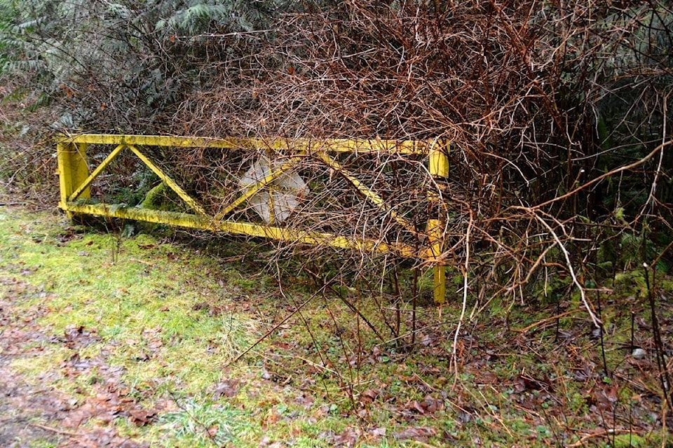 20473551_web1_200212-SNM-Potholes-park-gate-sooke_1