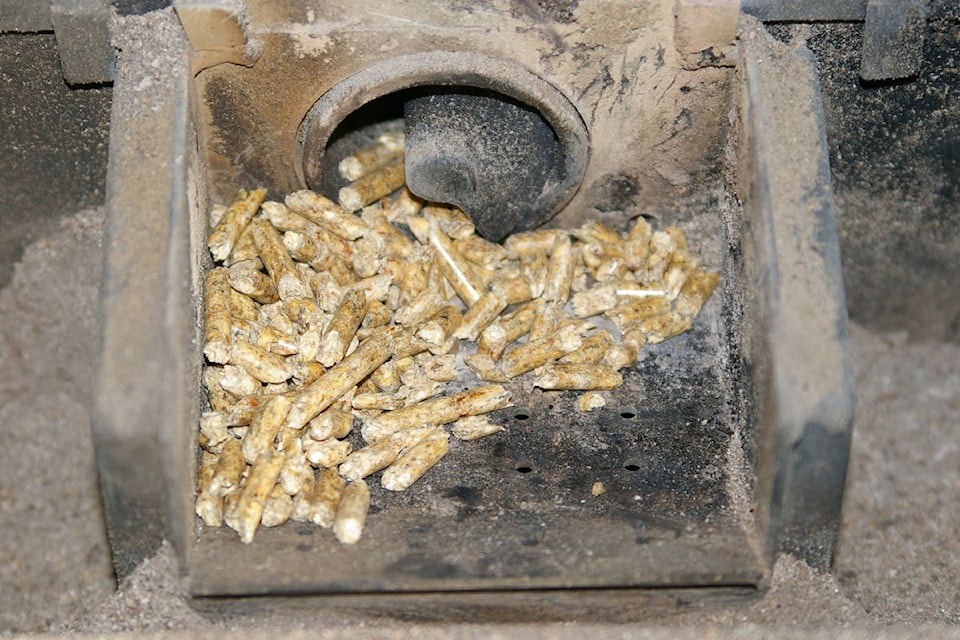 20567011_web1_200214-BPD-Interior-logging-pellet-stove_1