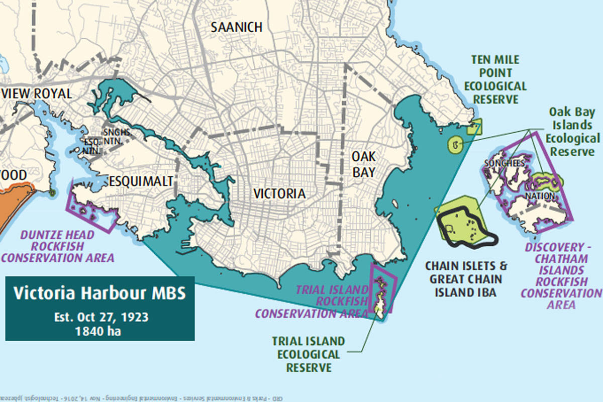 20711974_web1_200226-SNE-AntiDogOnBeach-FOLO-map_1