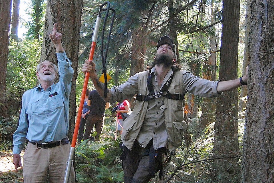 Eagle expert David Hancock, left, and Myles Lamont check the treetop where they would build the eagle’s nest at the French Creek Estuary. (Michael Briones photo)