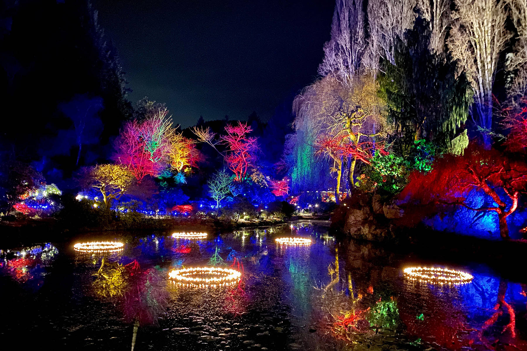 The magic of Christmas returns to the Butchart Gardens - Greater