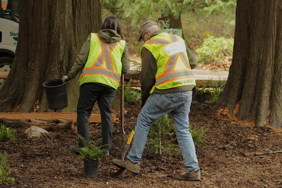 Friends of Mount Douglas Park Society president Darrell Wick (right) dug into the soil to place a new sapling during Saanich’s Tree Appreciation Day event on Nov. 7. (Devon Bidal/News Staff)