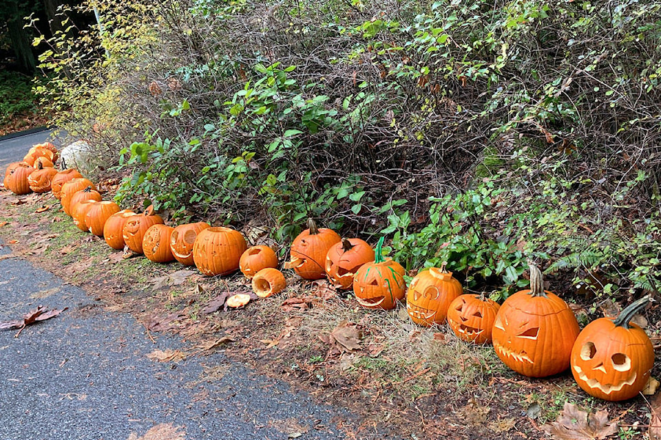 23290441_web1_201110-SNE-PumpkinDumpMountDoug-pumpkinsmountdoug_1