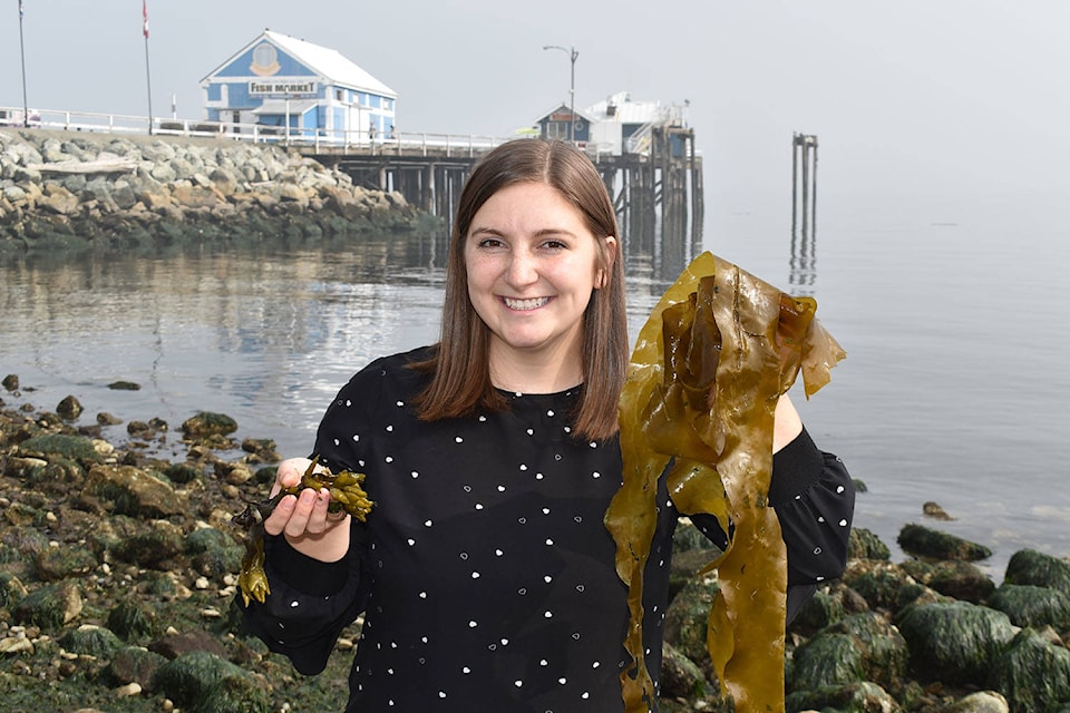 23340147_web1_201116-PNR-SEAWEED-FESTIVAL-SEAWEED_1