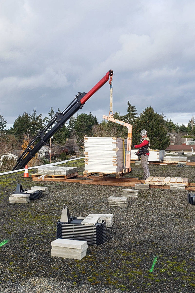 23526313_web1_201203-SNE-TorquayElementarySolarPanels-torquayelementary_2