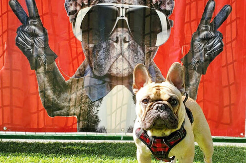 The best for your pets comes to Victoria! Greater Victoria News