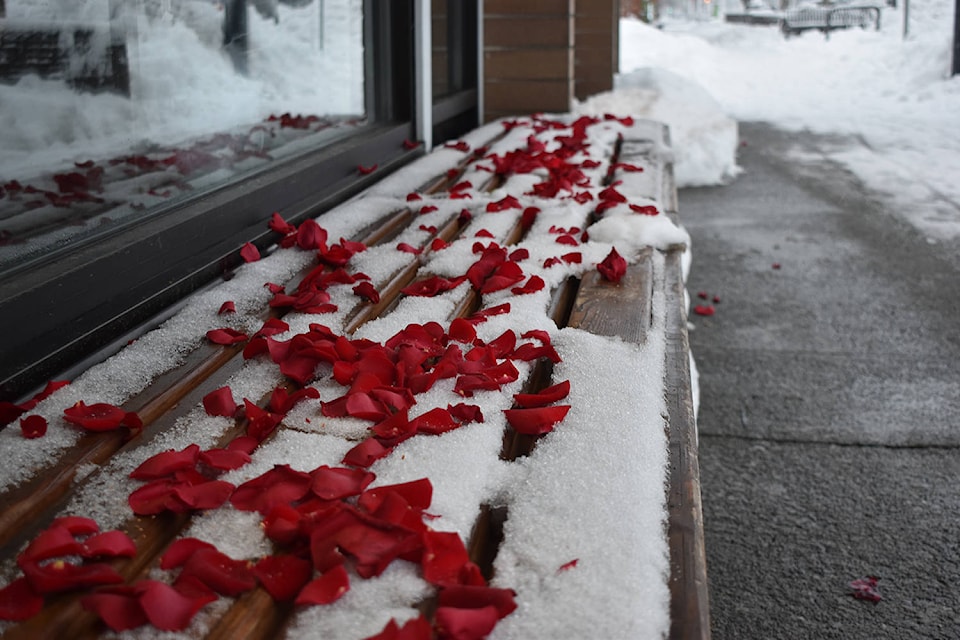 24229611_web1_210214-PNR-SNOW-V-DAY-ROSES-ON-SNOW_1