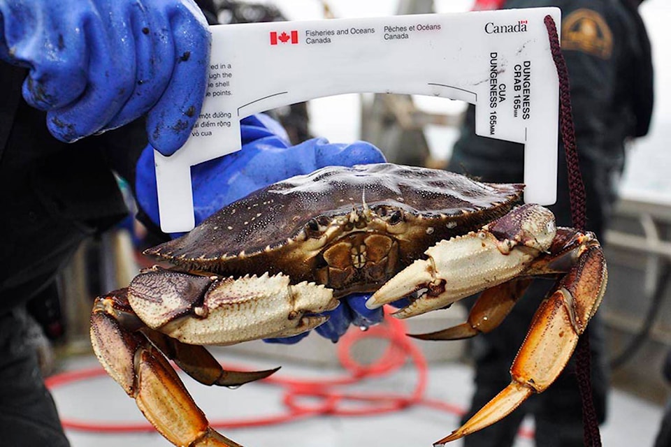 24334374_web1_210224-PNR-ENFORCEMENT-CRABBING_1