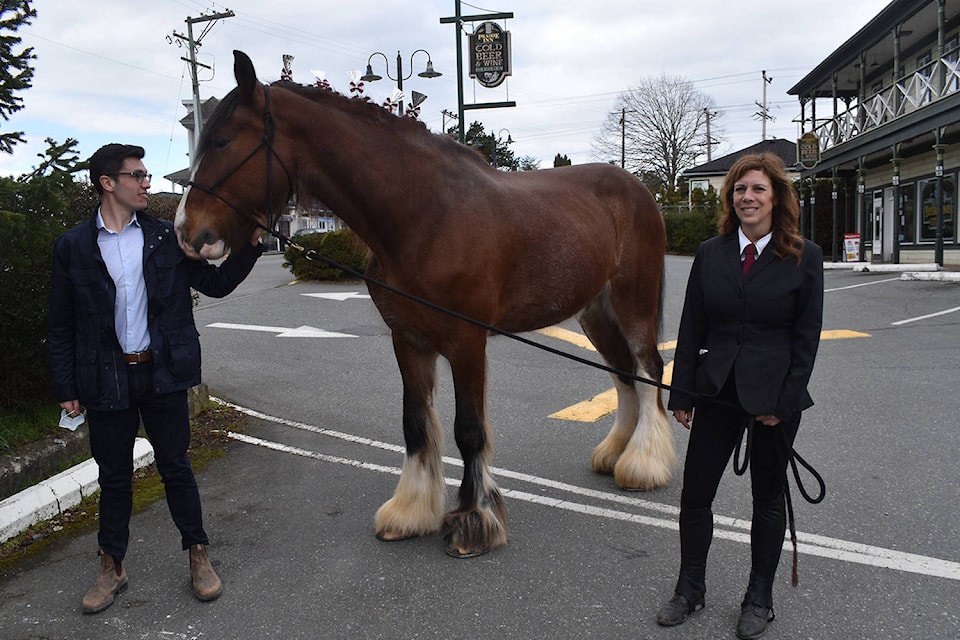 24640278_web1_210325-PNR-CentralSaanichHitchingPost-Horse_1