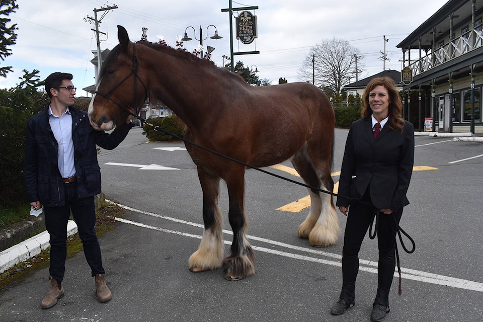 24640278_web1_210325-PNR-CentralSaanichHitchingPost-Horse_1