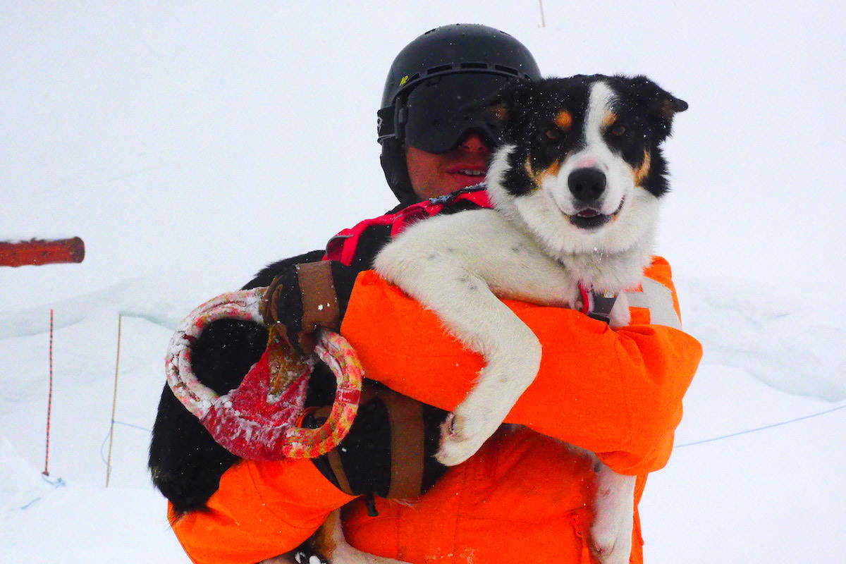 Fernie ski patroller Paul Vanderpyl, with his two-year-old avalanche rescue dog, Drift. (Scott Tibballs / The Free Press)