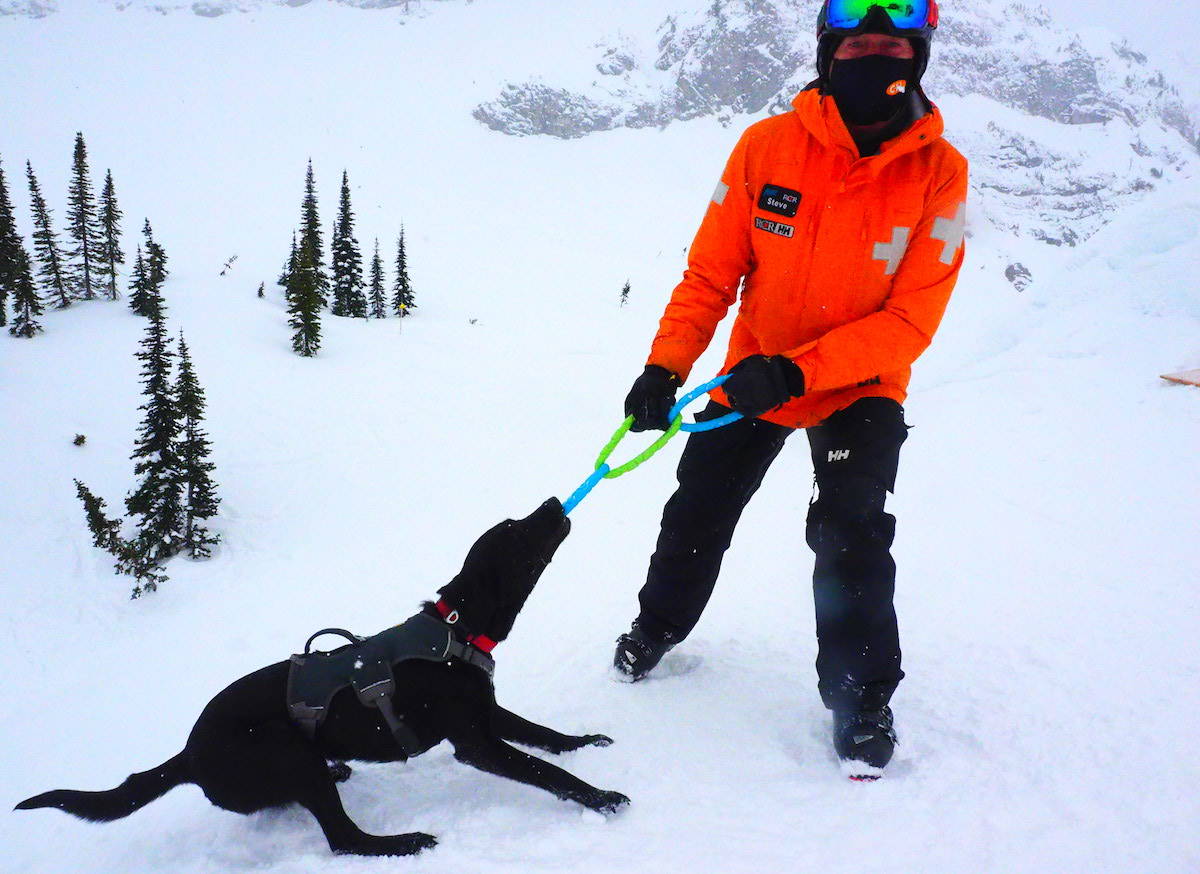 Fernie ski patroller Steve Morrison with his avalanche rescue dog in training, Sadie. (Scott Tibballs / The Free Press)