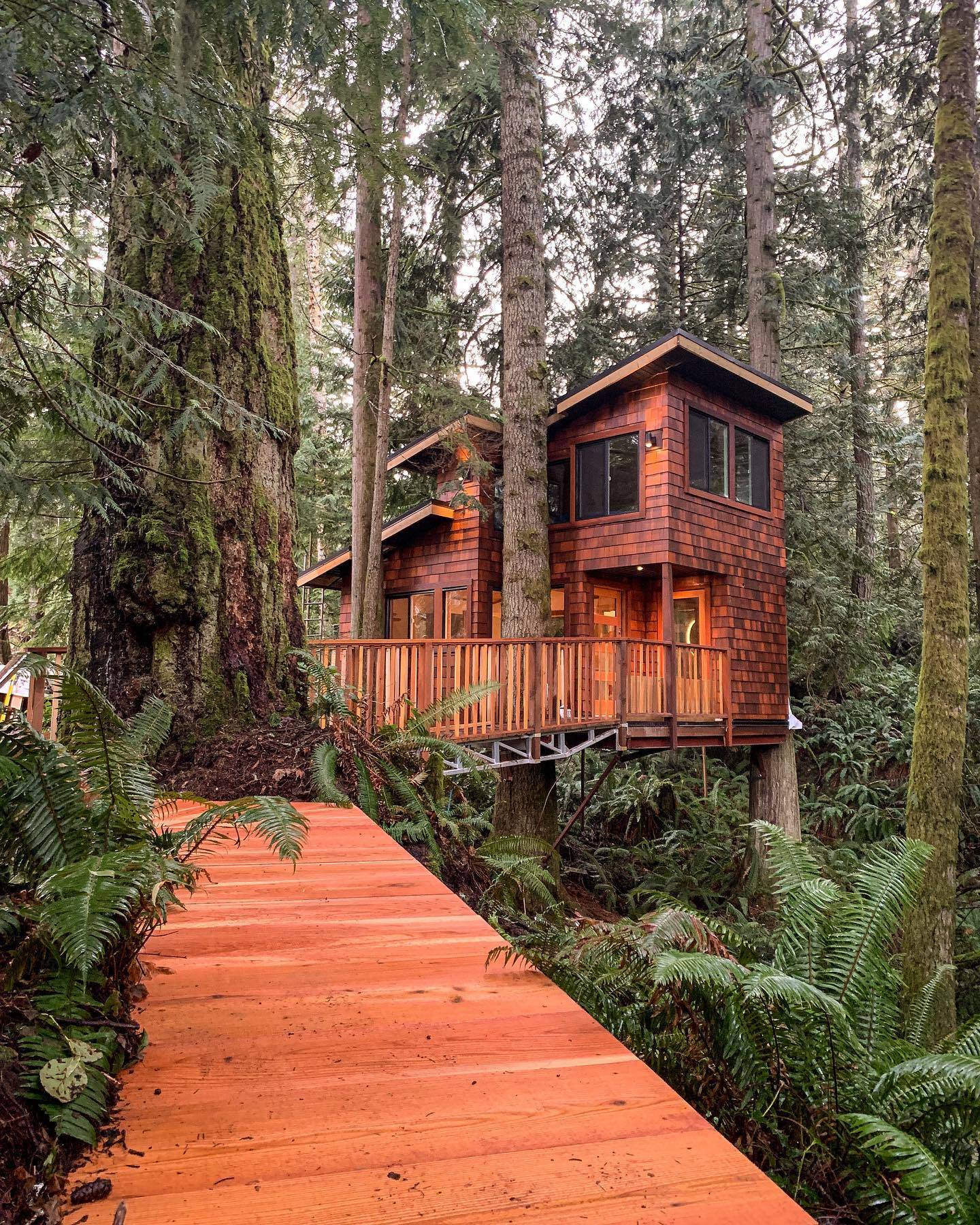 24763676_web1_210406-GNG-East-Sooke-Tree-House-pics_3