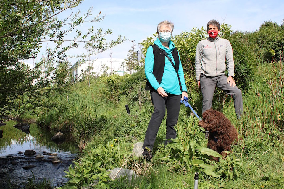 Ruth Currey, left, and Ian Graeme stand by Bowker Creek between the Oak Bay High School field and track. (Jake Romphf/News Staff)