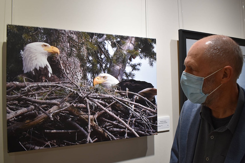 25449373_web1_210609-PNR-BirdPhotoExhibition-Birds_2