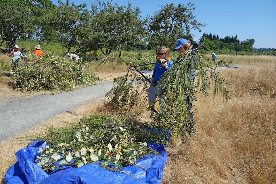 25736248_web1_210706-GNG-Removing-Invasive-Plants_1