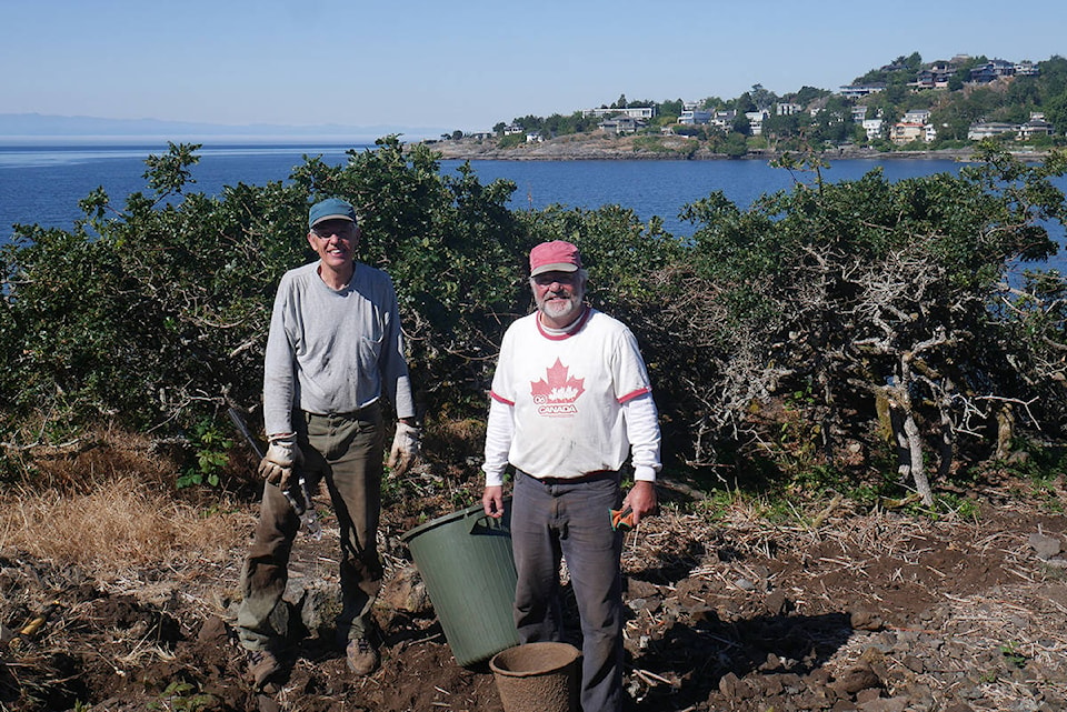 25739071_web1_210706-OBN-McNeillBayRestoration-Bluff_2