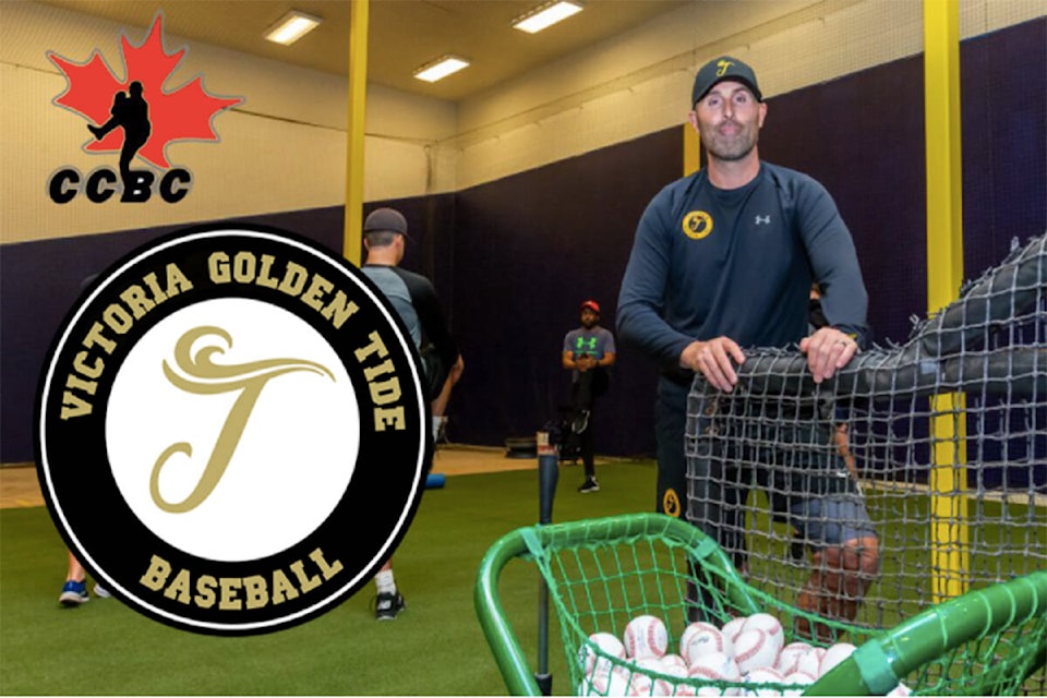 26489060_web1_210814-VNE-Harbour-Cats-Baseball-goldentide_1