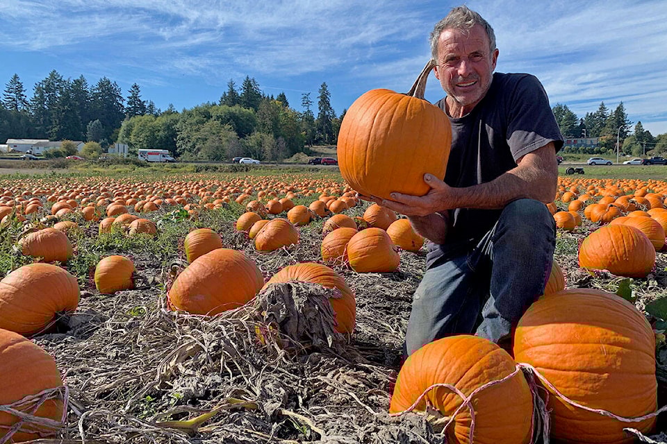 26611713_web1_210924-PNR-Michells-pumpkin-patch-pumpkin_1