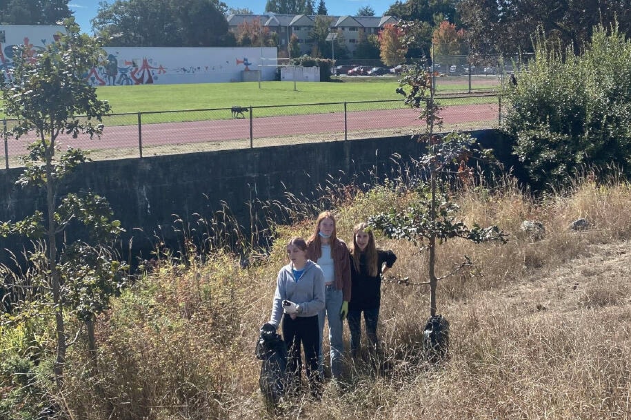 Members of the Grade 9 discovery science class cleans up invasive plants at Bowker Creek. (Megan McCluskey photo)