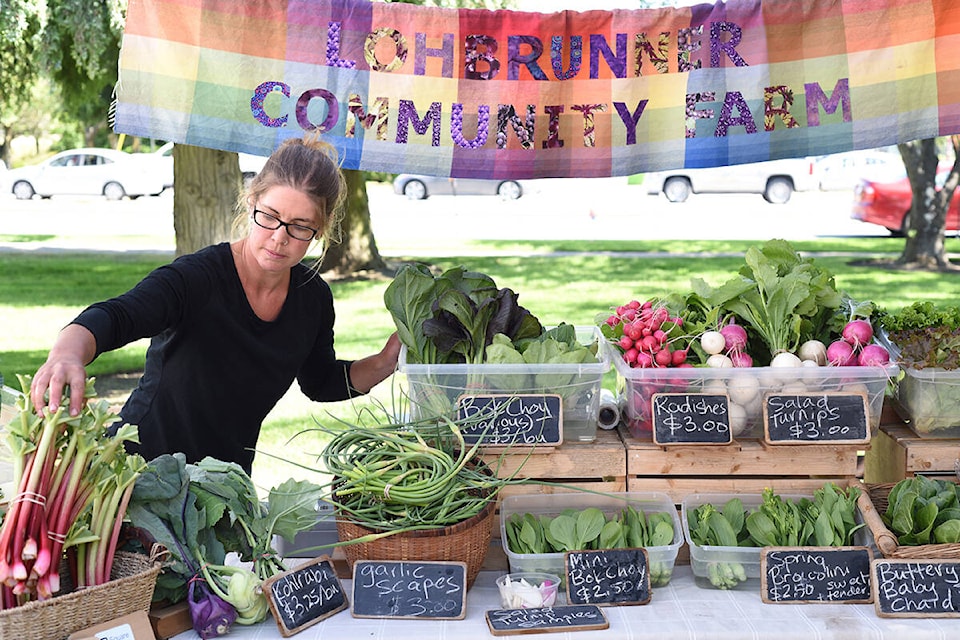 26762377_web1_Goldstream-Farmers--Market-1