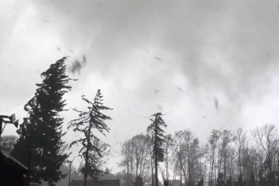 27097799_web1_UBC-windstorm-aftermath