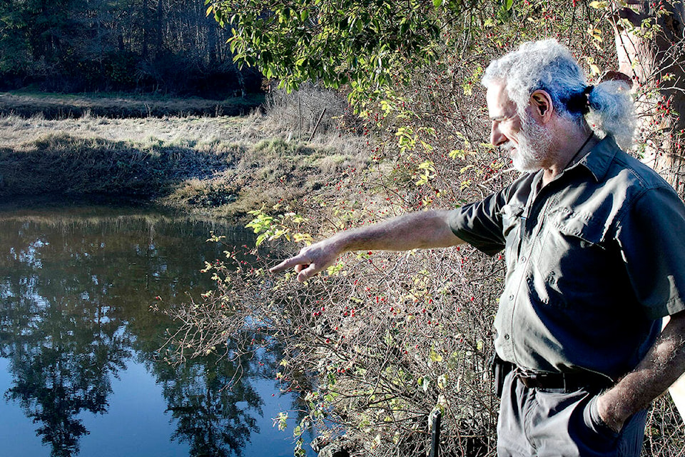 Shahn Torontow says a small amount of oil accumulates in his tidal pond every few days, and when the tide lowers gets washed into Ayum Creek. (Bailey Moreton - Sooke News Mirror)