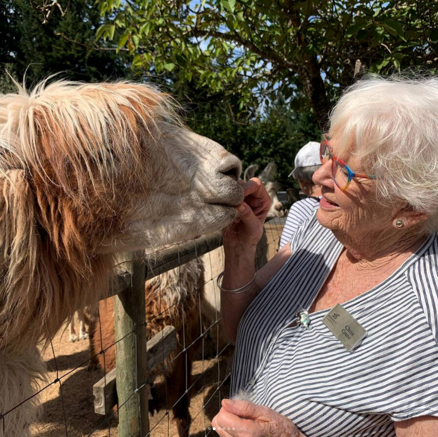 Residents of Berwick House visited Woosterville Mini-Llama farm in the Cowichan Valley.