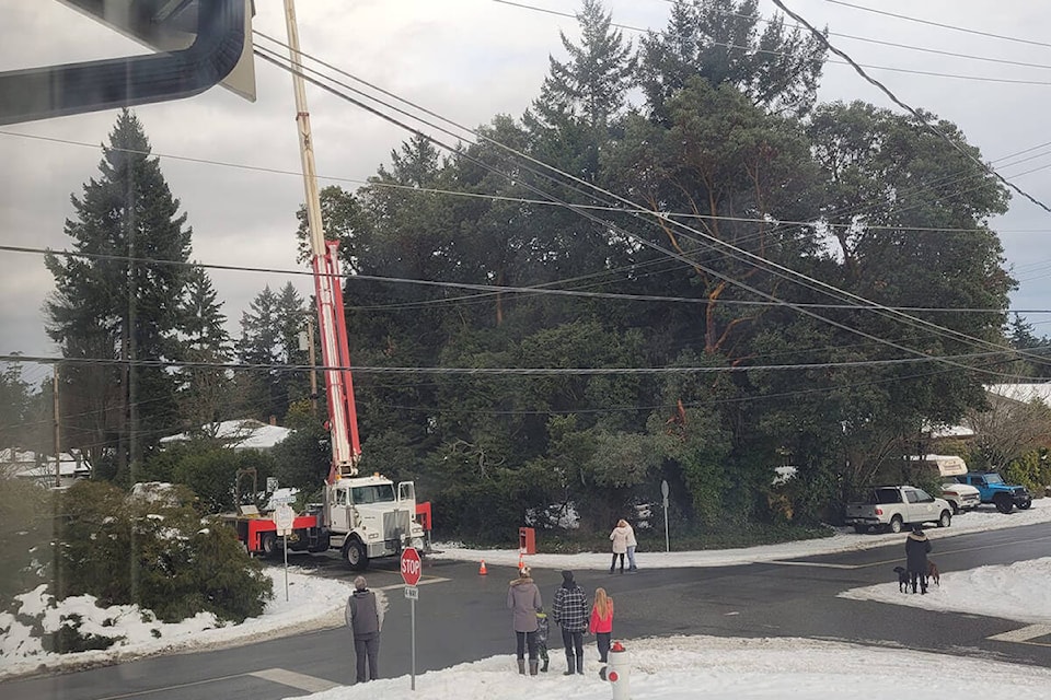 A crowd gathered to watch the rescue. (Courtesy of Kill Luckow/Facebook)