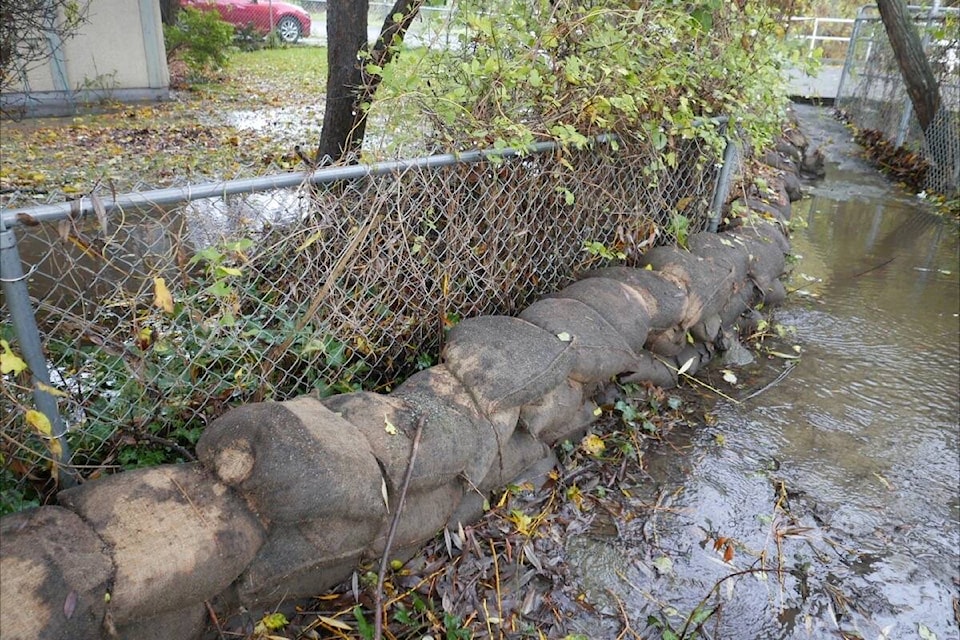 The waters of Bowker Creek ran high in the Haultain Street area during the massive rain event in November 2021. (Photo by Peter Haddon)