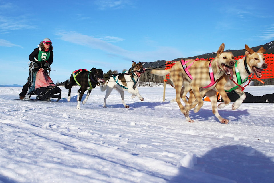 The Caledonia Classic is the only race in Canada that combines sprint and long distance races into one weekend. (Aman Parhar/Caledonia Courier)