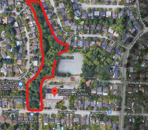 A map of where the assault occurred. (North Vancouver RCMP)
