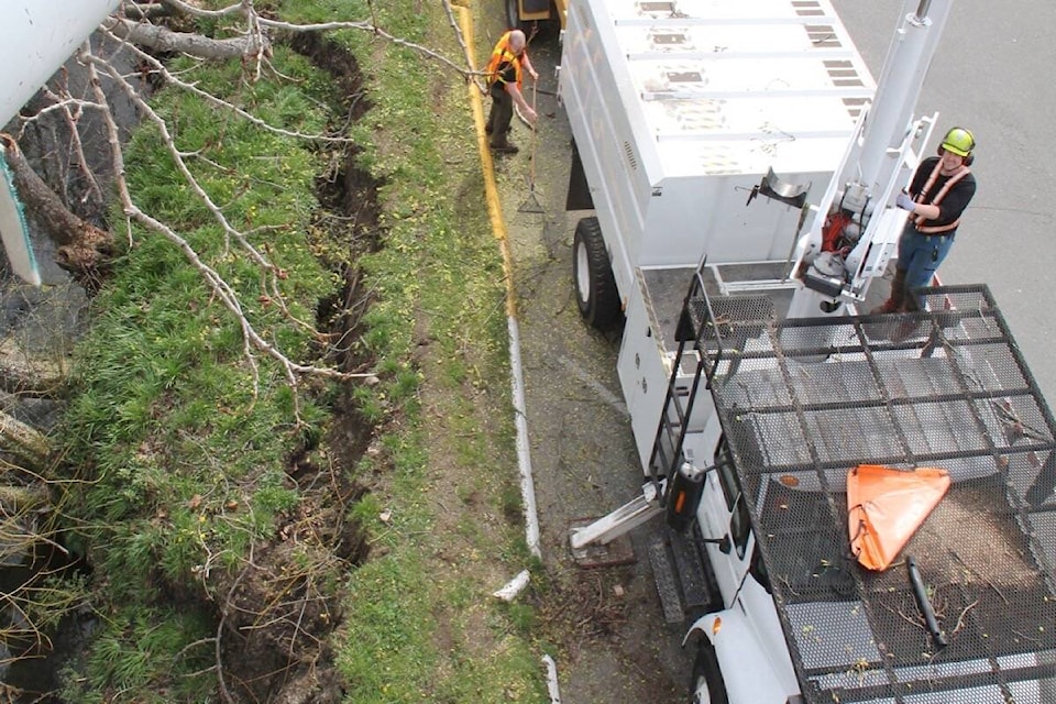 Oak Bay parks crew members Iain MacLeod on the chipper and Louis Burgess on the lift, clear a section of creekside vegetation to allow for repairs where the banks of Bowker Creek collapsed March 24. (Christine van Reeuwyk/News Staff)