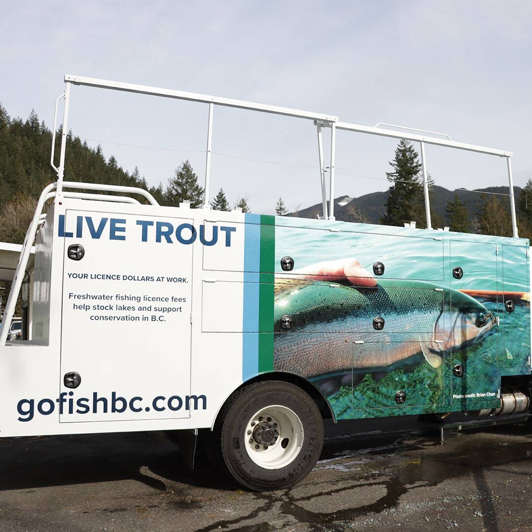 Three lakes in Sooke stocked with 3,000 trout - Greater Victoria News