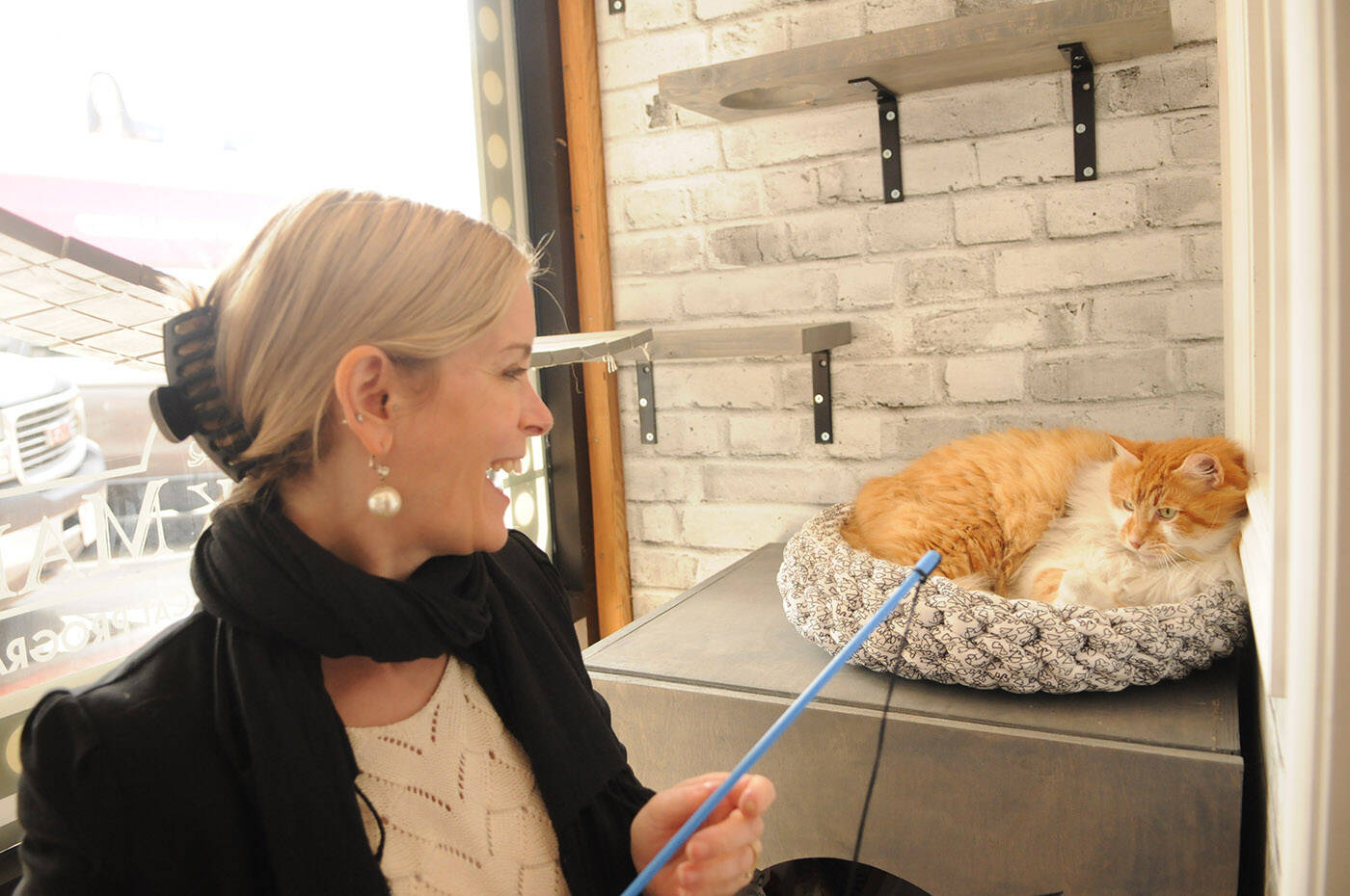 Amber Price, owner of The Book Man, gives Butters the cat some attention in the stores newly built cat adoption room on Thursday, April 14, 2022. (Jenna Hauck/ Chilliwack Progress)