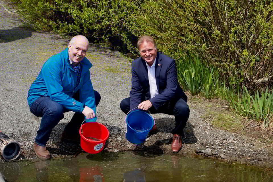 Premier John Horgan and Langford Mayor Stew Young lend a hand restocking Glen Lake with rainbow trout Friday afternoon at an Earth Day event organized by the Freshwater Fisheries Society of B.C. (Justin Samanski-Langille/News Staff)