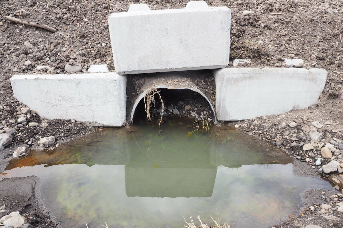 One of the culverts under the CP line near Bravais property in Cokato. While it was cleared the day after the flood, here it appears to be full of silt and rocks again as of April 2022. (Scott Tibballs / The Free Press)