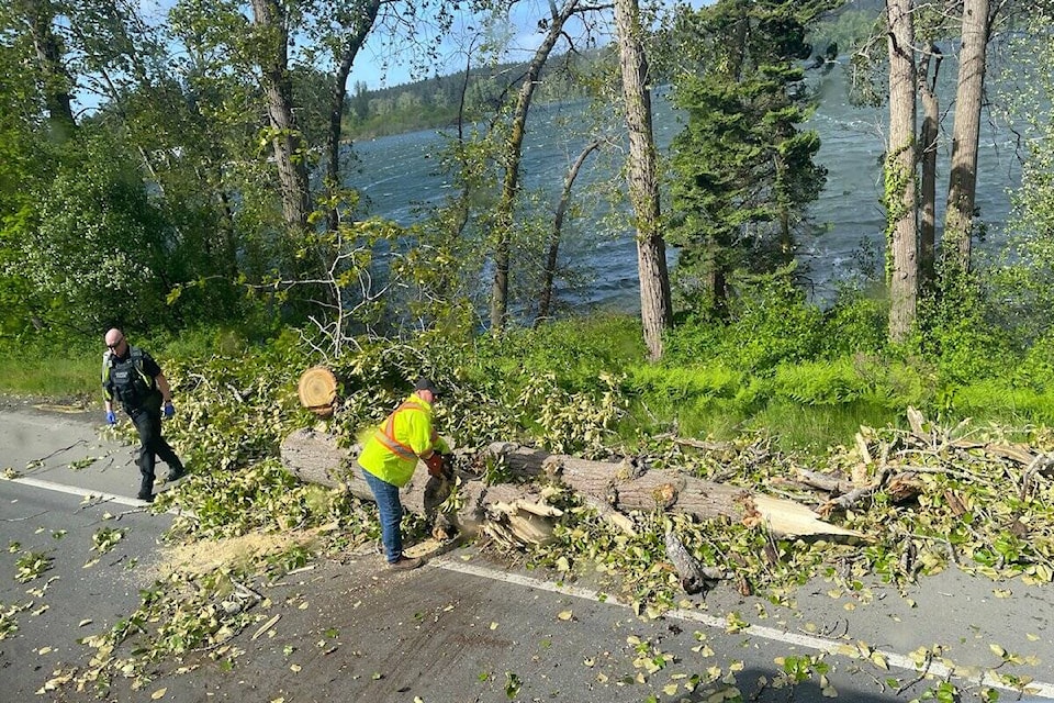 Crews cut up a fallen tree near Elk Lake on May 18. The transportation ministry warned drivers of falling debris resulting from high winds impacting Vancouver Island. (Courtesy of the Ministry of Transportation and Infrastructure)