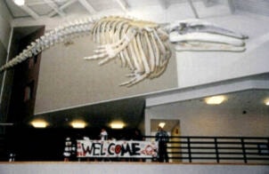 29281642_web1_220602-SNM-EMCS-Whale-Tale-PHOTOS_1