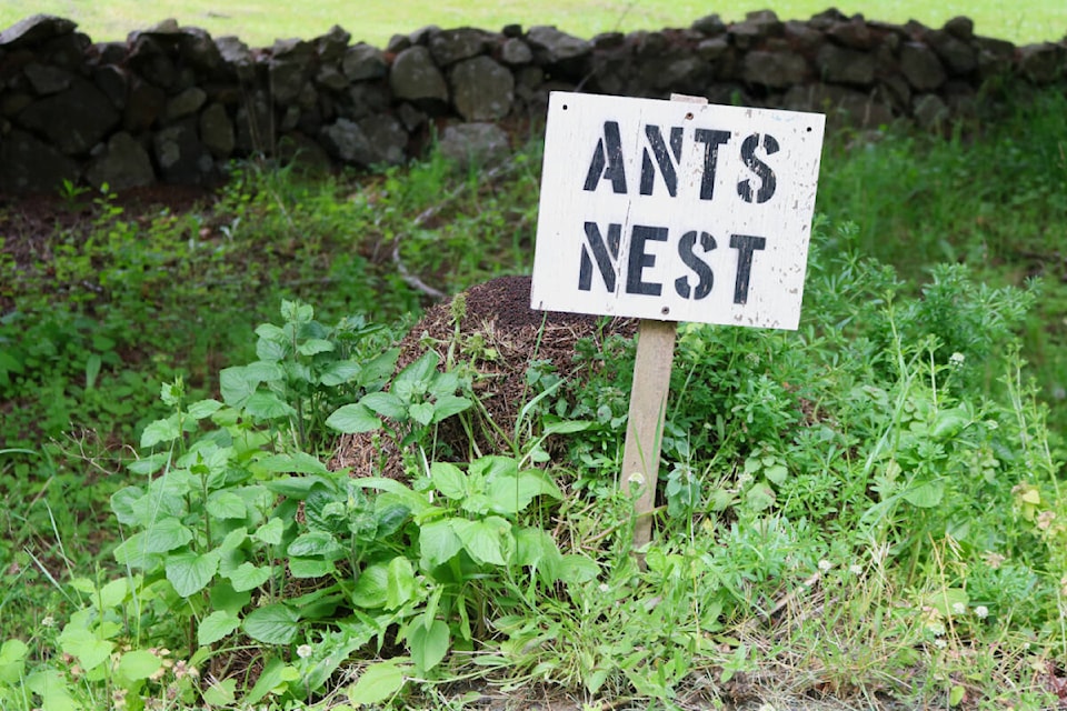 The sign on Happy Valley Road in Metchosin was put up by the Morrans around 20 years ago. (Bailey Moreton/News Staff)