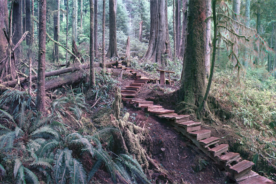 29534386_web1_220621-SNE-UVicLegacyGallery-StillStanding-StillStanding_1