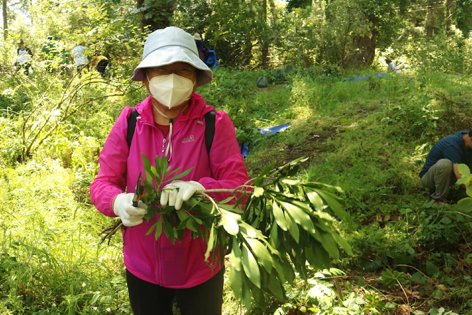 Volunteers work to pull invasive species out of the forest at the Queenswood property in Saanich on June 26. (Courtesy Greater Victoria Green Team)