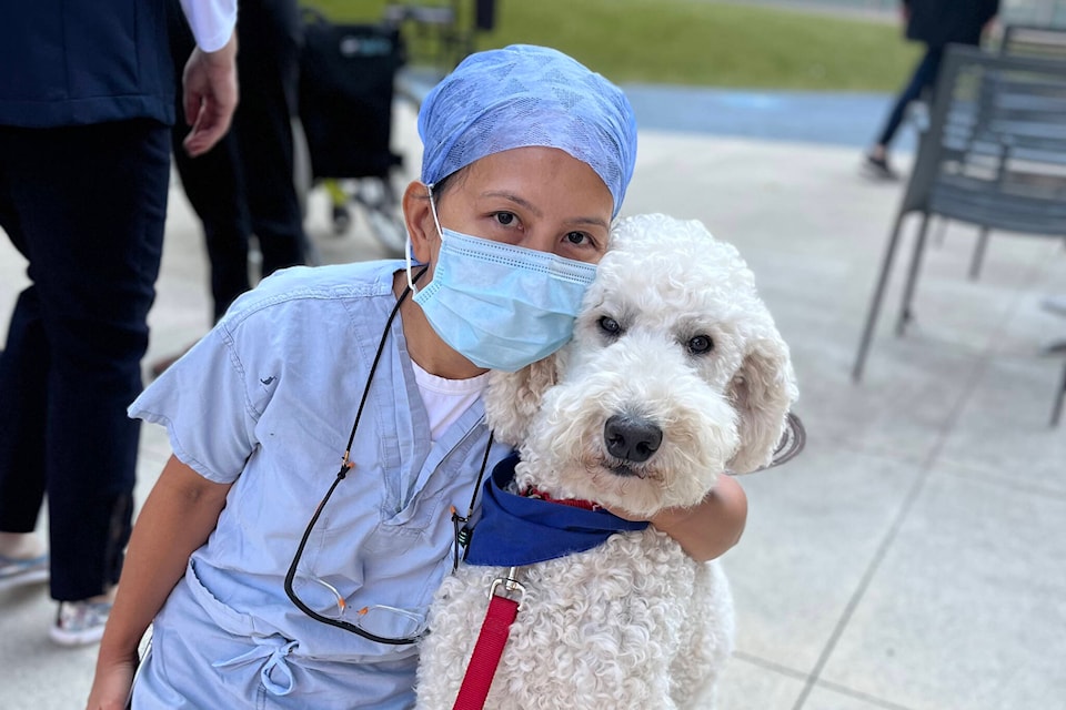 A health-care professional at BC Children’s Hospital is with one of the therapy dogs from the hospital’s new pet therapy program for health-care staff. (Photo: BC Children’s Hospital).