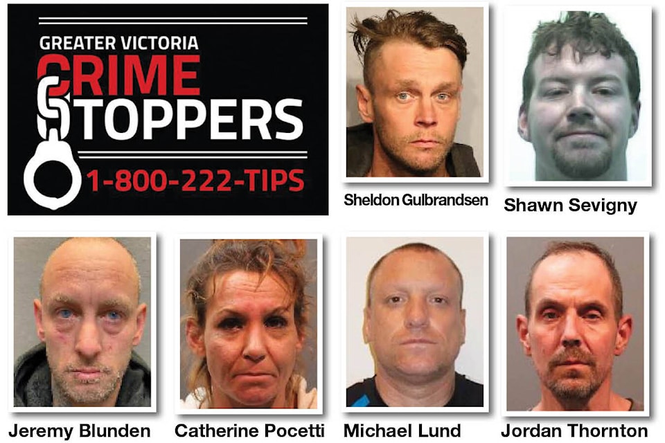 30821930_web1_221026-vne-crime-stoppers-mugshots_1