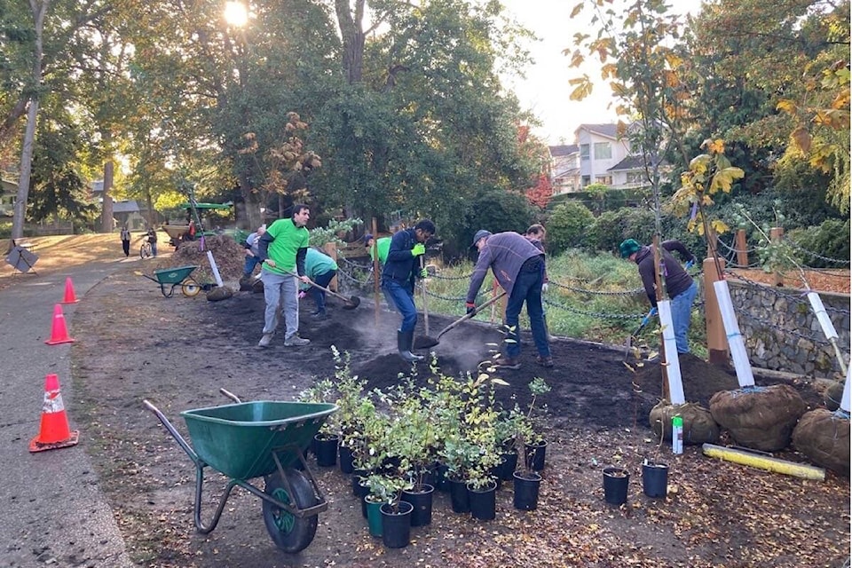 Schneider Electric, Tree Canada and Oak Bay parks plant trees Oct. 26 in a community service event that added young trees to the shores of Bowker Creek. (Bowker Creek Salmon Recovery/Facebook)