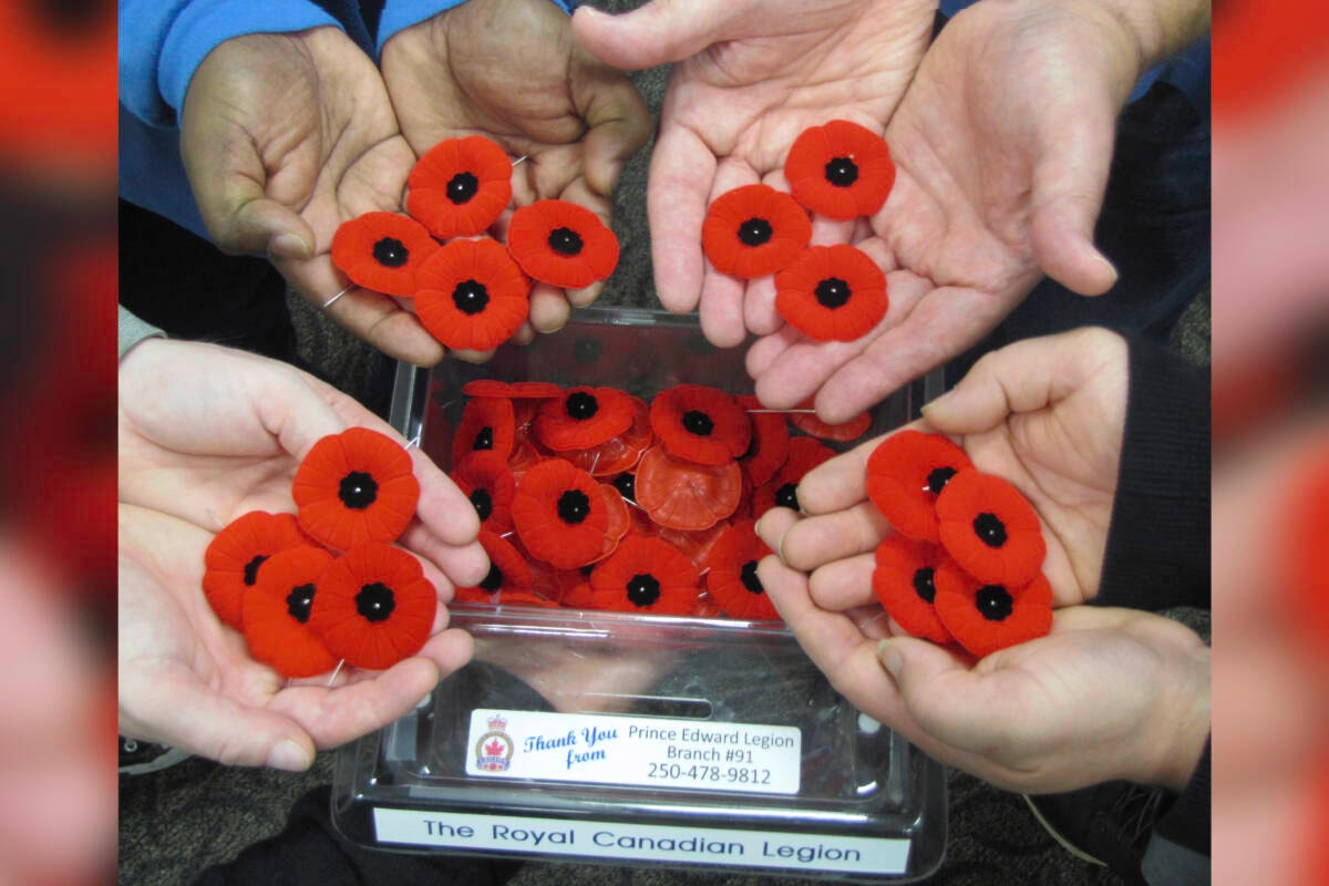 Royal Canadian Legion's 2021 National Poppy Campaign set to launch