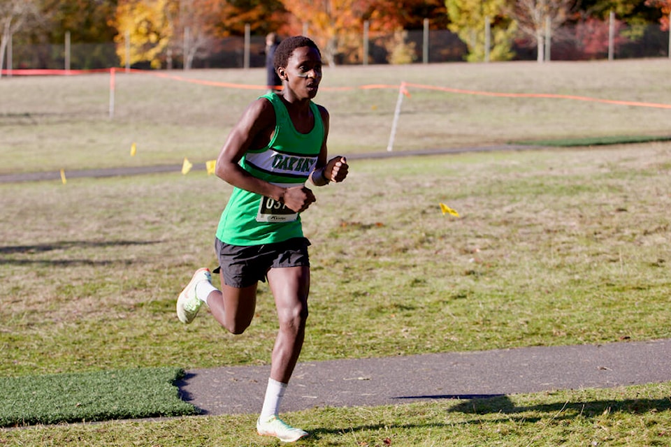 Oak Bay High School’s Charli Mlotshwa runs Saturday (Nov. 5) during the B.C. High School Cross-Country Championships, held at Royal Roads University. (Justin Samanski-Langille/News Staff)