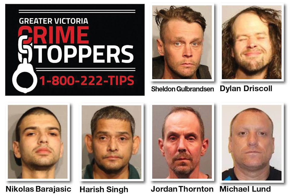 30950128_web1_221108-vne-crime-stoppers-mugshots_1